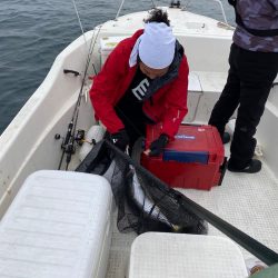 「LaGooN」蒼陽丸 日和号 釣果