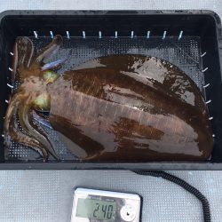 渡船屋たにぐち 釣果