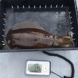 渡船屋たにぐち 釣果