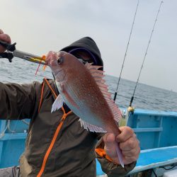 みやけ丸 釣果