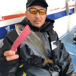 ヤザワ渡船 釣果