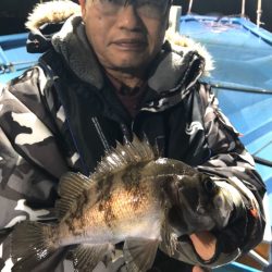 ヤザワ渡船 釣果