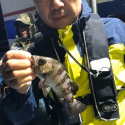 ヤザワ渡船 釣果