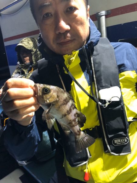 ヤザワ渡船 釣果