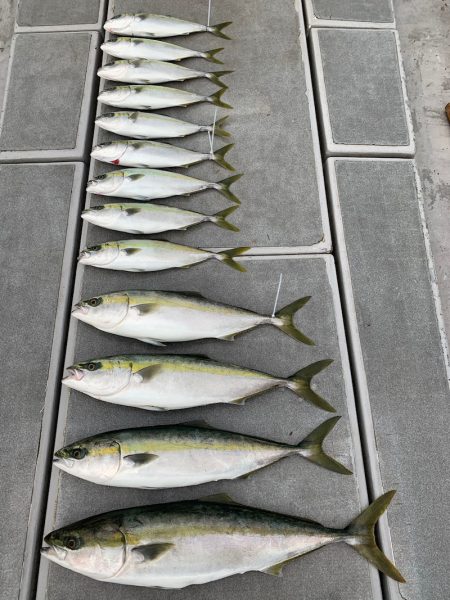 SeaRide(シーライド) 釣果