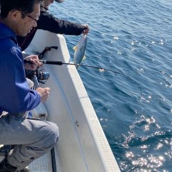 「LaGooN」蒼陽丸 日和号　 釣果