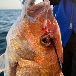 龍神丸(鹿児島) 釣果