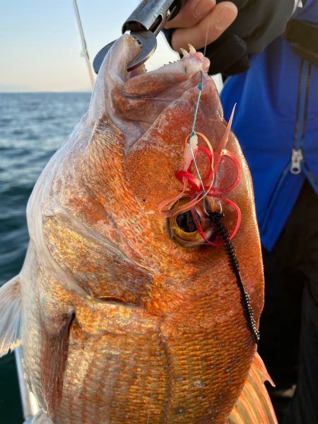 龍神丸(鹿児島) 釣果