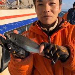 ヤザワ渡船 釣果