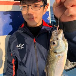 ヤザワ渡船 釣果