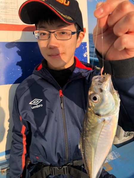 ヤザワ渡船 釣果