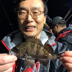 ヤザワ渡船 釣果