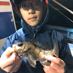 ヤザワ渡船 釣果