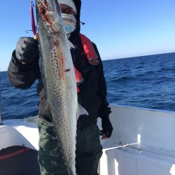 渡船屋たにぐち 釣果