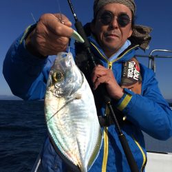 渡船屋たにぐち 釣果