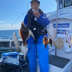 シーランチ 釣果