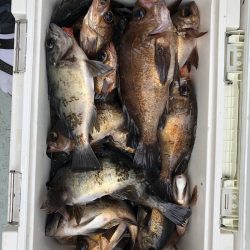 フィッシング キッタカ 釣果