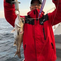 ＴＡＲＯＭＡＲＵ 釣果