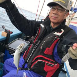 ヤザワ渡船 釣果