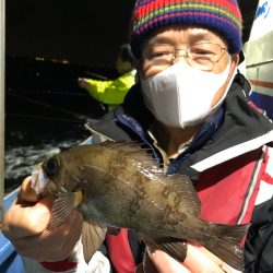 ヤザワ渡船 釣果