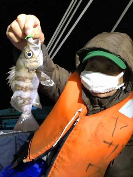 ヤザワ渡船 釣果