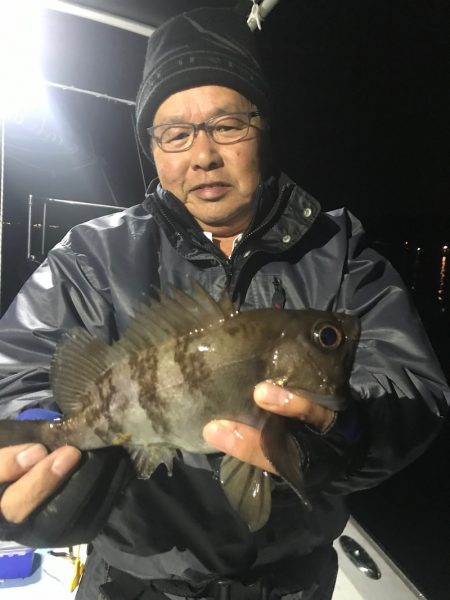 遊漁船メテオ 釣果