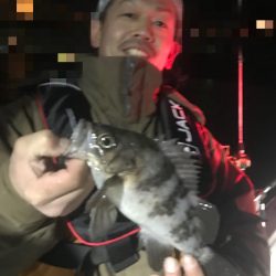 遊漁船メテオ 釣果