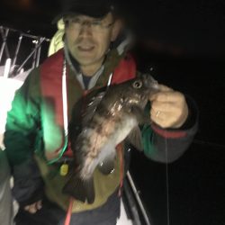 遊漁船メテオ 釣果