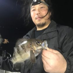 遊漁船メテオ 釣果