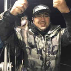 遊漁船メテオ 釣果