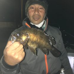 遊漁船メテオ 釣果