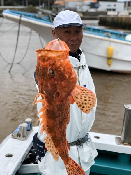 丸万釣船 釣果