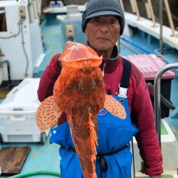 丸万釣船 釣果