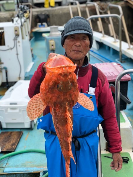 丸万釣船 釣果