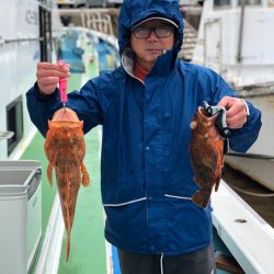 丸万釣船 釣果