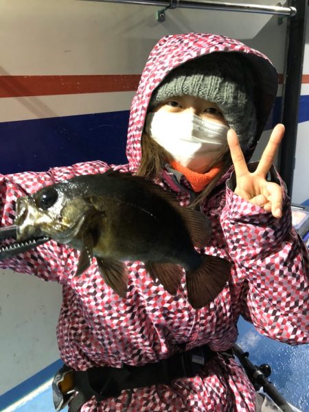 ヤザワ渡船 釣果