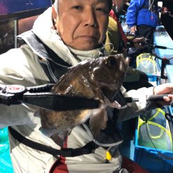 ヤザワ渡船 釣果