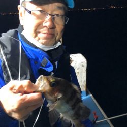ヤザワ渡船 釣果