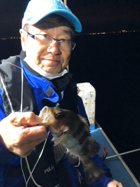 ヤザワ渡船 釣果