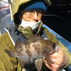 ヤザワ渡船 釣果