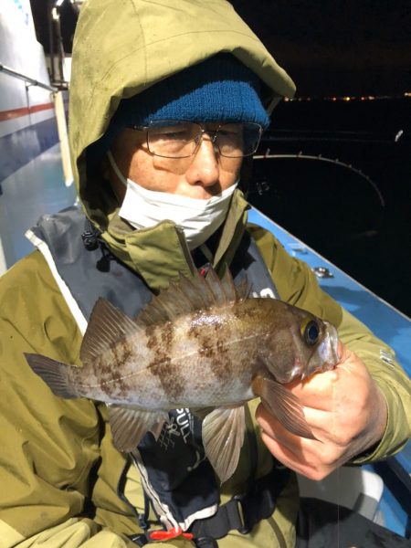 ヤザワ渡船 釣果