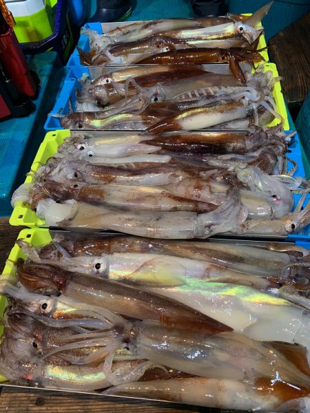 愛海丸 釣果