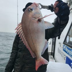 ランスルー 釣果