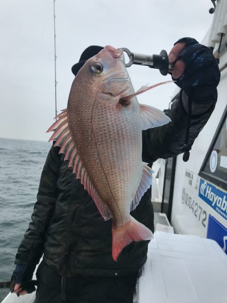 ランスルー 釣果