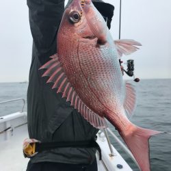 ランスルー 釣果