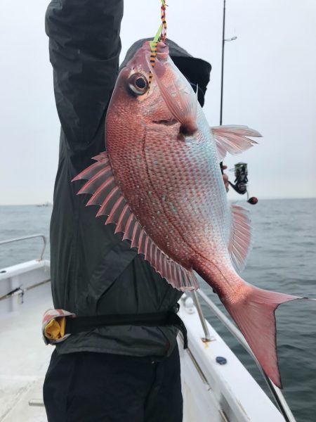 ランスルー 釣果