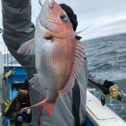 太平丸 釣果