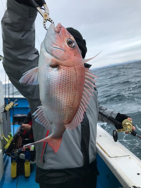 太平丸 釣果