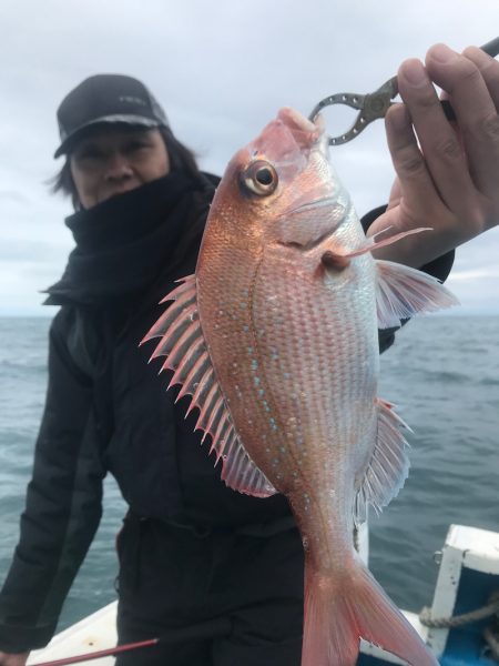太平丸 釣果