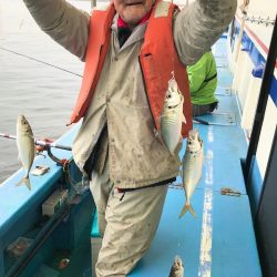 ヤザワ渡船 釣果